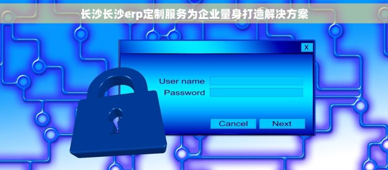 长沙长沙erp定制服务为企业量身打造解决方案