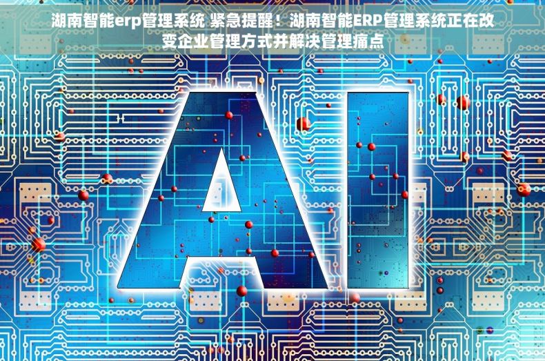 湖南智能erp管理系统 紧急提醒！湖南智能ERP管理系统正在改变企业管理方式并解决管理痛点