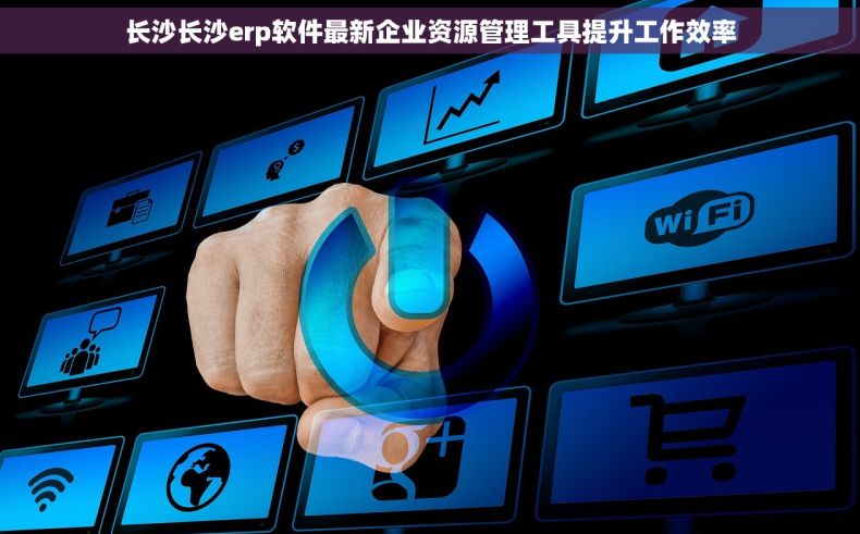 长沙长沙erp软件最新企业资源管理工具提升工作效率