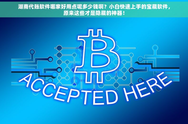 湖南代账软件哪家好用点呢多少钱啊？小白快速上手的宝藏软件，原来这些才是隐藏的神器！