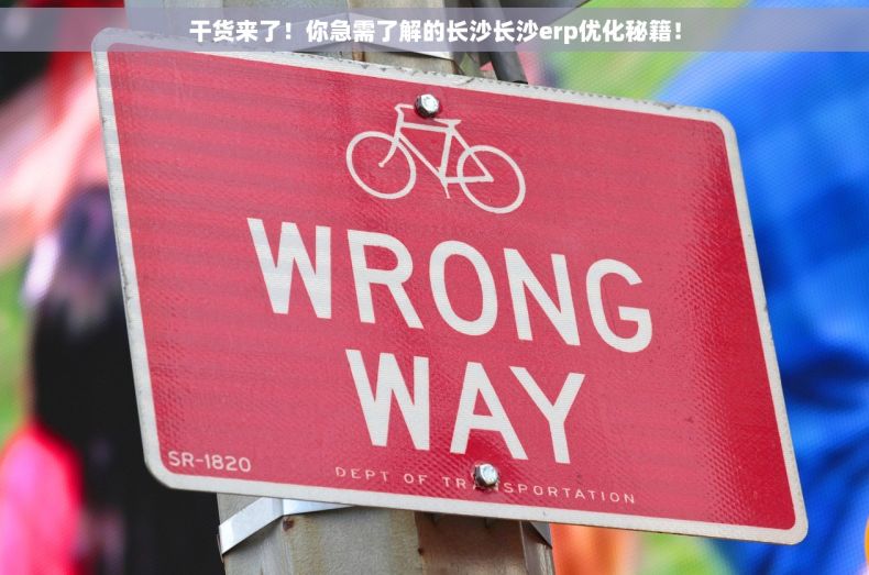 干货来了！你急需了解的长沙长沙erp优化秘籍！