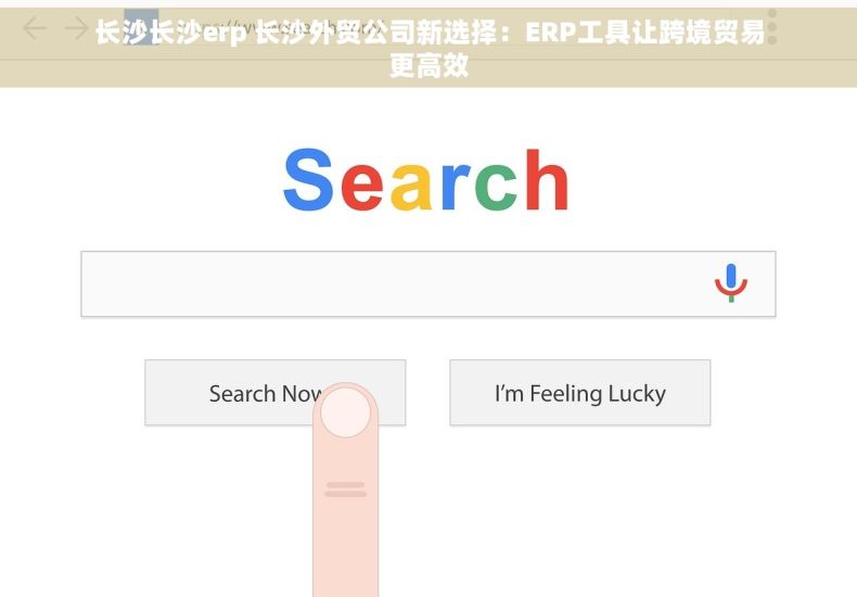 长沙长沙erp 长沙外贸公司新选择：ERP工具让跨境贸易更高效