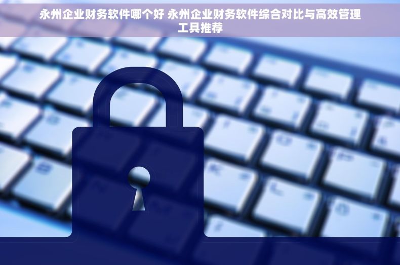 永州企业财务软件哪个好 永州企业财务软件综合对比与高效管理工具推荐