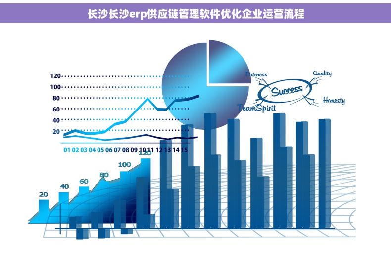 长沙长沙erp供应链管理软件优化企业运营流程