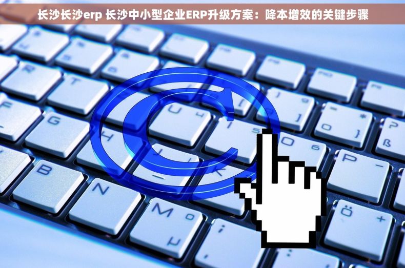 长沙长沙erp 长沙中小型企业ERP升级方案：降本增效的关键步骤