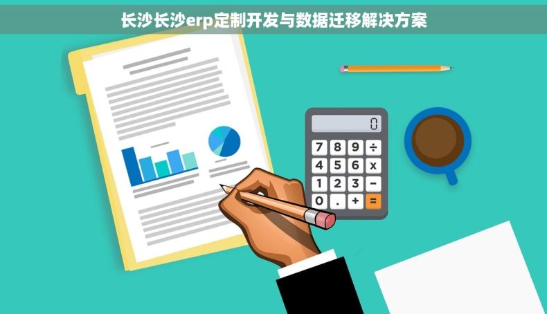 长沙长沙erp定制开发与数据迁移解决方案