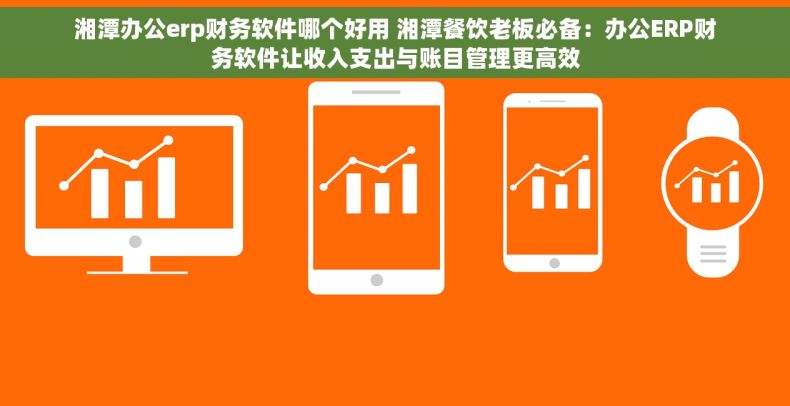 湘潭办公erp财务软件哪个好用 湘潭餐饮老板必备：办公ERP财务软件让收入支出与账目管理更高效