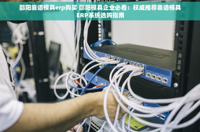 邵阳靠谱模具erp购买 邵阳模具企业必看：权威推荐靠谱模具ERP系统选购指南