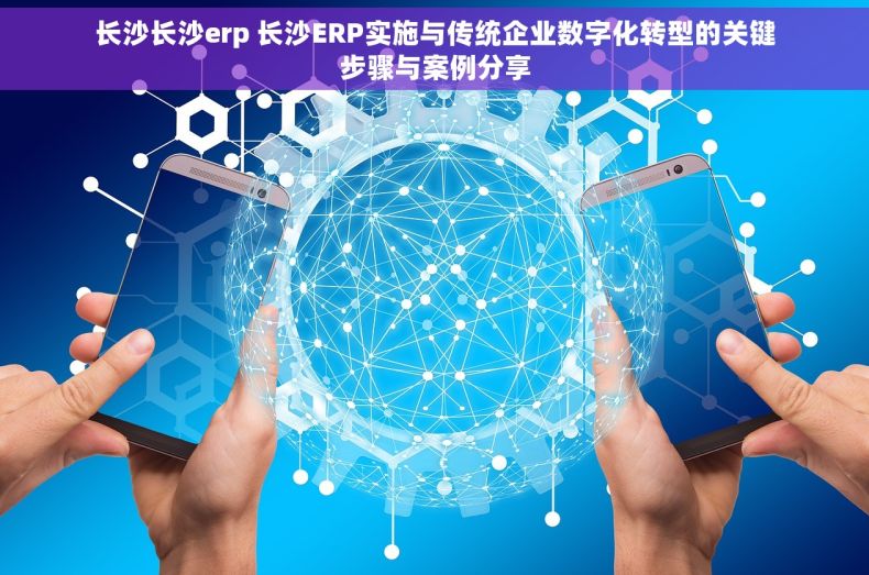 长沙长沙erp 长沙ERP实施与传统企业数字化转型的关键步骤与案例分享