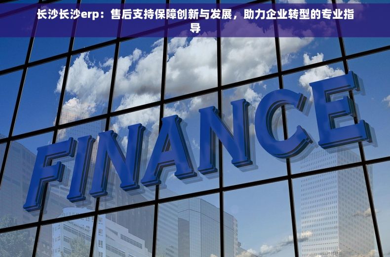 长沙长沙erp：售后支持保障创新与发展，助力企业转型的专业指导