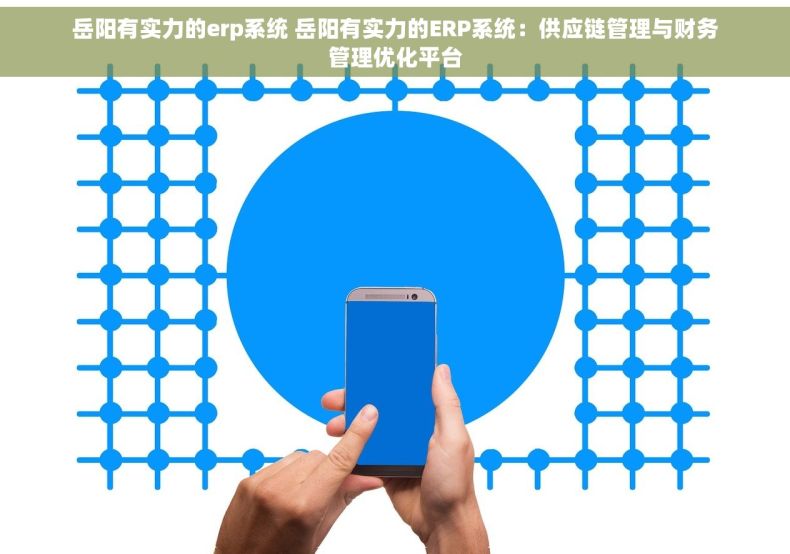 岳阳有实力的erp系统 岳阳有实力的ERP系统：供应链管理与财务管理优化平台