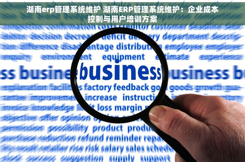 湖南erp管理系统维护 湖南ERP管理系统维护：企业成本控制与用户培训方案