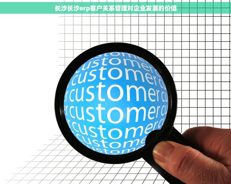 长沙长沙erp客户关系管理对企业发展的价值