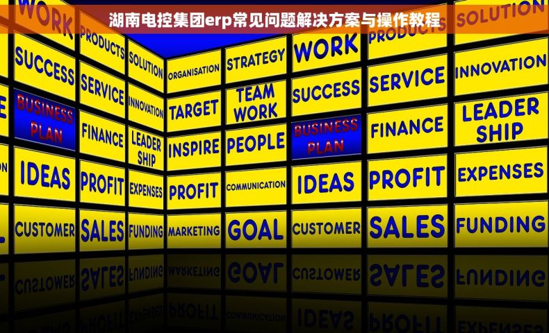 湖南电控集团erp常见问题解决方案与操作教程