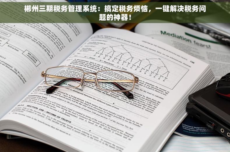 郴州三期税务管理系统：搞定税务烦恼，一键解决税务问题的神器！