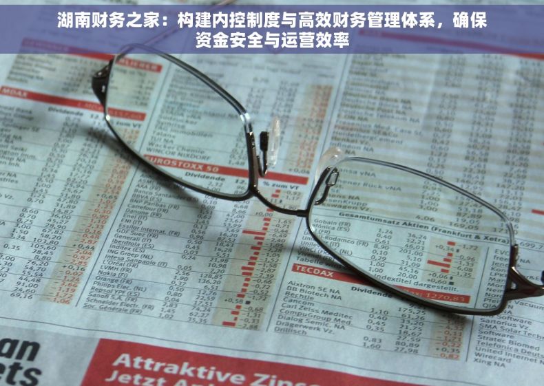 湖南财务之家：构建内控制度与高效财务管理体系，确保资金安全与运营效率