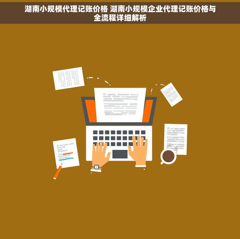湖南小规模代理记账价格 湖南小规模企业代理记账价格与全流程详细解析