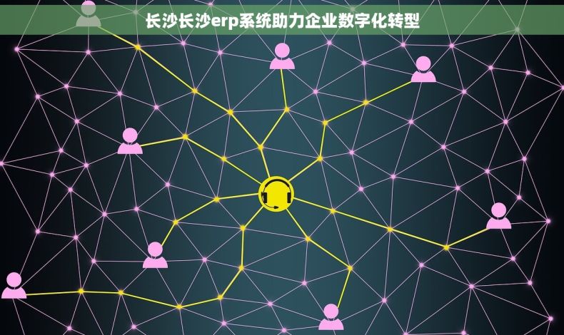 长沙长沙erp系统助力企业数字化转型