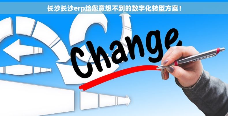 长沙长沙erp给您意想不到的数字化转型方案！