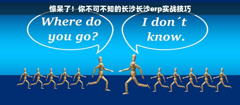 惊呆了！你不可不知的长沙长沙erp实战技巧
