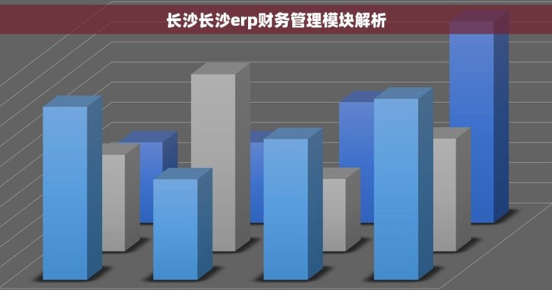长沙长沙erp财务管理模块解析