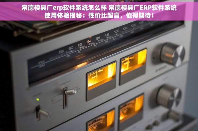 常德模具厂erp软件系统怎么样 常德模具厂ERP软件系统使用体验揭秘：性价比超高，值得期待！