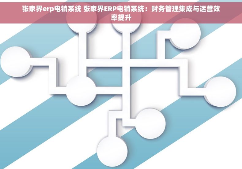 张家界erp电销系统 张家界ERP电销系统：财务管理集成与运营效率提升