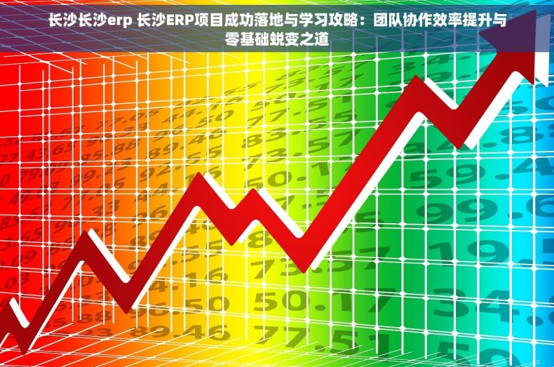 长沙长沙erp 长沙ERP项目成功落地与学习攻略：团队协作效率提升与零基础蜕变之道