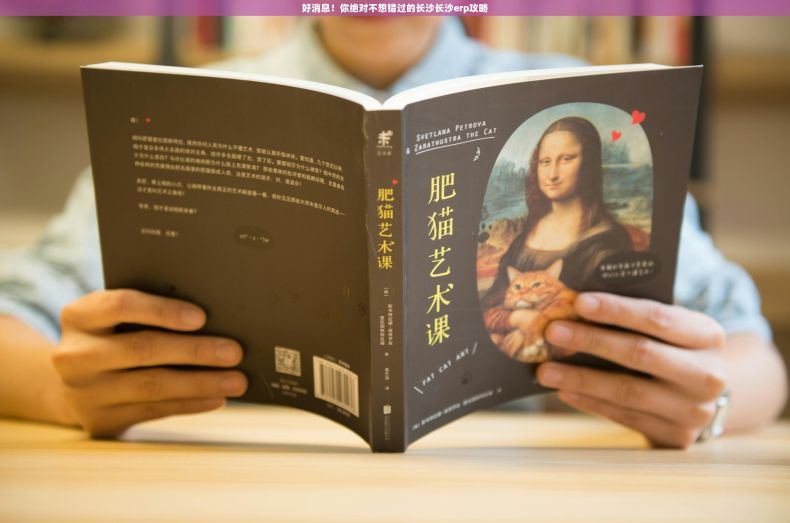 好消息！你绝对不想错过的长沙长沙erp攻略