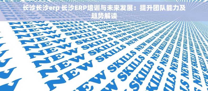 长沙长沙erp 长沙ERP培训与未来发展：提升团队能力及趋势解读