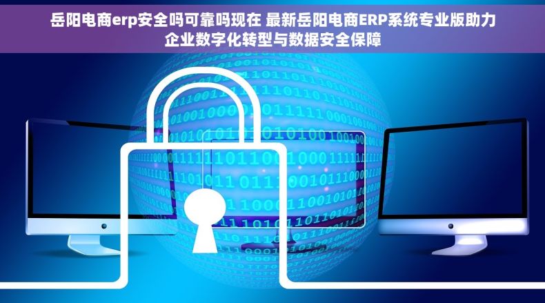 岳阳电商erp安全吗可靠吗现在 最新岳阳电商ERP系统专业版助力企业数字化转型与数据安全保障