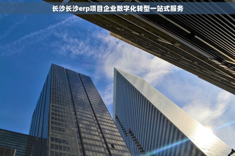 长沙长沙erp项目企业数字化转型一站式服务