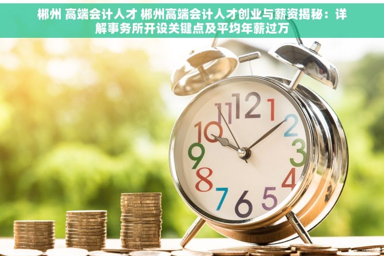 郴州 高端会计人才 郴州高端会计人才创业与薪资揭秘：详解事务所开设关键点及平均年薪过万