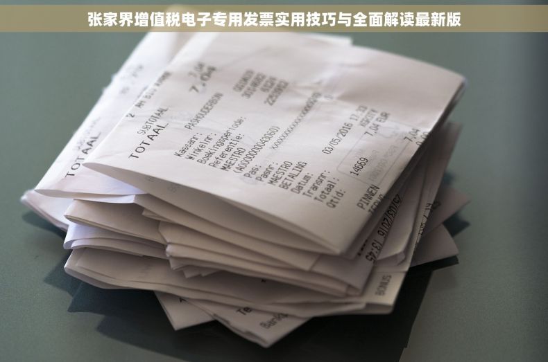 张家界增值税电子专用发票实用技巧与全面解读最新版