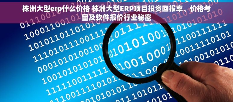 株洲大型erp什么价格 株洲大型ERP项目投资回报率、价格考量及软件报价行业秘密