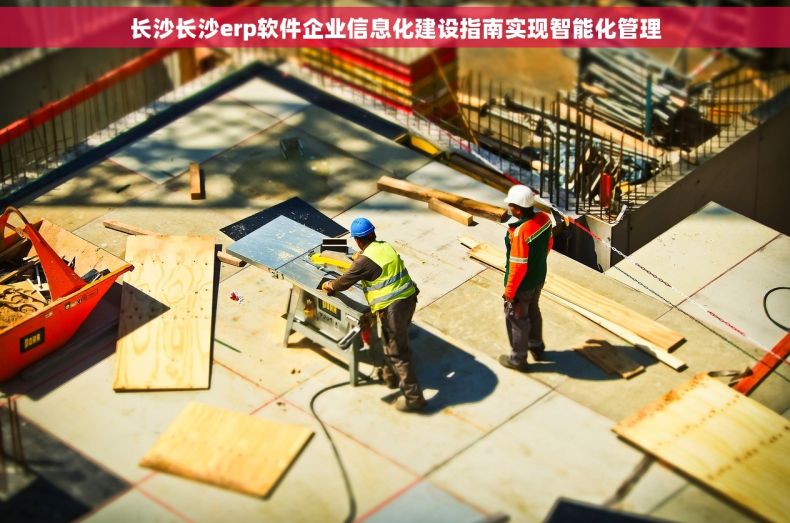 长沙长沙erp软件企业信息化建设指南实现智能化管理