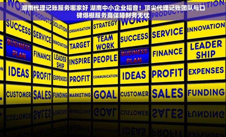 湖南代理记账服务哪家好 湖南中小企业福音！顶尖代理记账团队与口碑爆棚服务商保障财务无忧