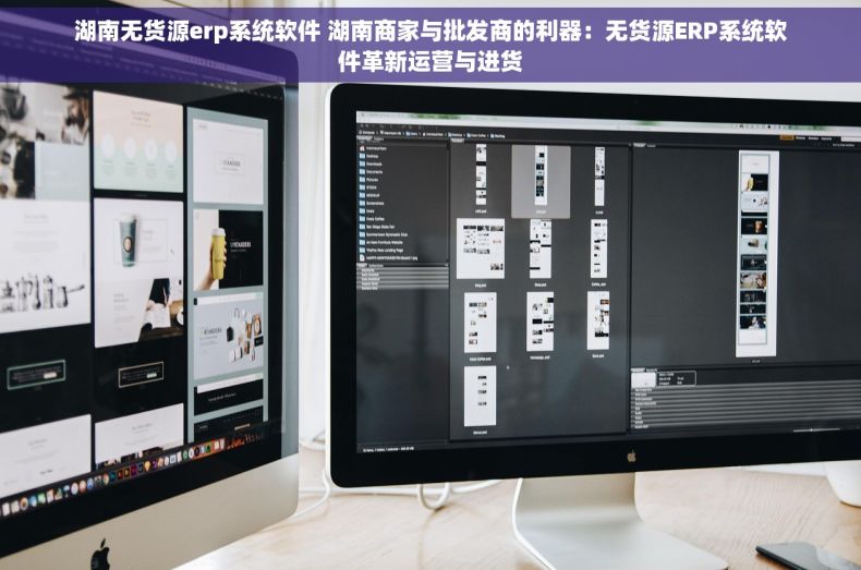 湖南无货源erp系统软件 湖南商家与批发商的利器：无货源ERP系统软件革新运营与进货