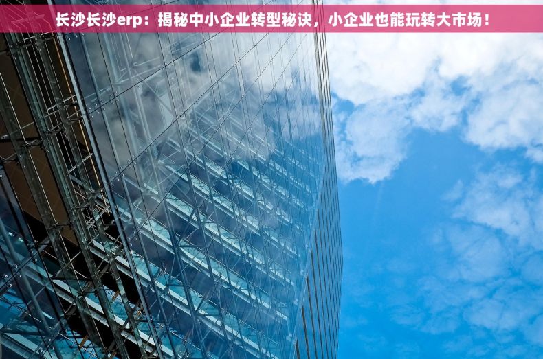 长沙长沙erp：揭秘中小企业转型秘诀，小企业也能玩转大市场！
