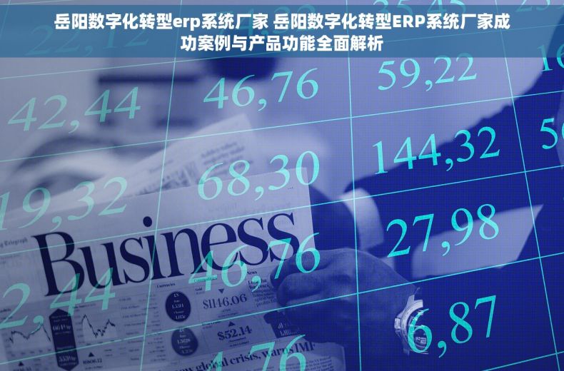岳阳数字化转型erp系统厂家 岳阳数字化转型ERP系统厂家成功案例与产品功能全面解析