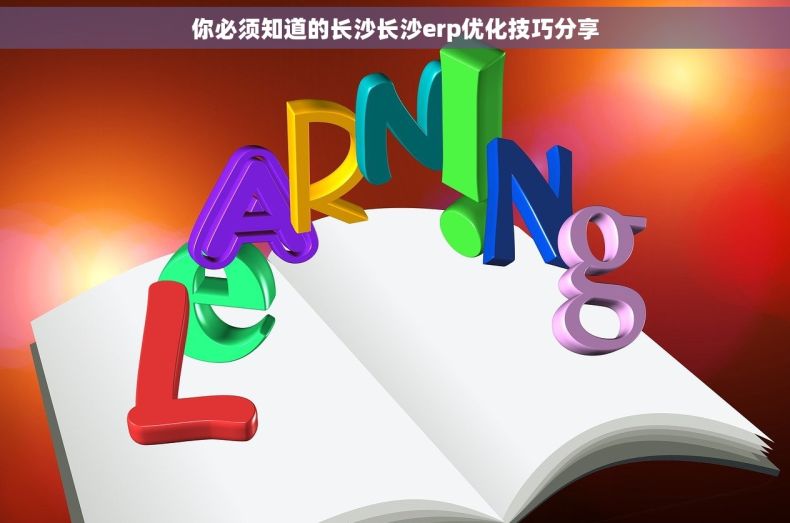 你必须知道的长沙长沙erp优化技巧分享