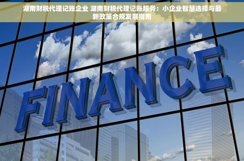 湖南财税代理记账企业 湖南财税代理记账服务：小企业智慧选择与最新政策合规发展指南