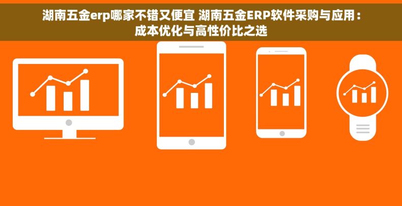 湖南五金erp哪家不错又便宜 湖南五金ERP软件采购与应用：成本优化与高性价比之选