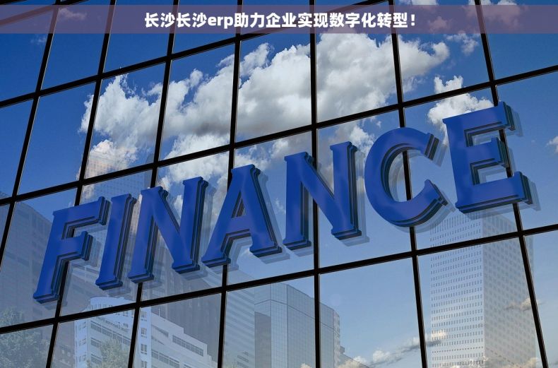 长沙长沙erp助力企业实现数字化转型！
