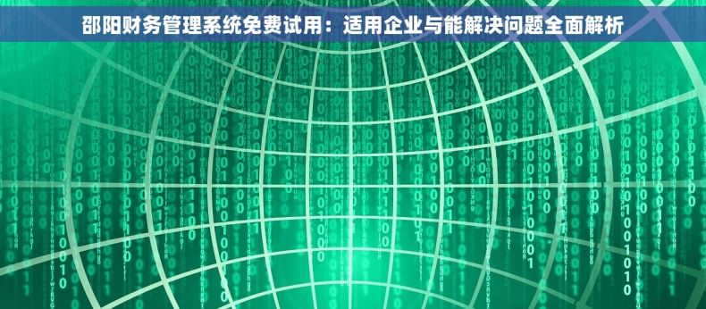 邵阳财务管理系统免费试用：适用企业与能解决问题全面解析