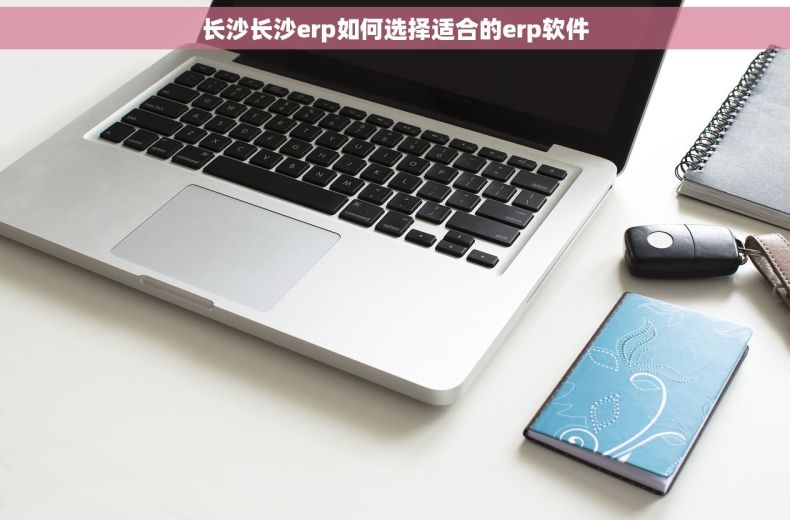 长沙长沙erp如何选择适合的erp软件