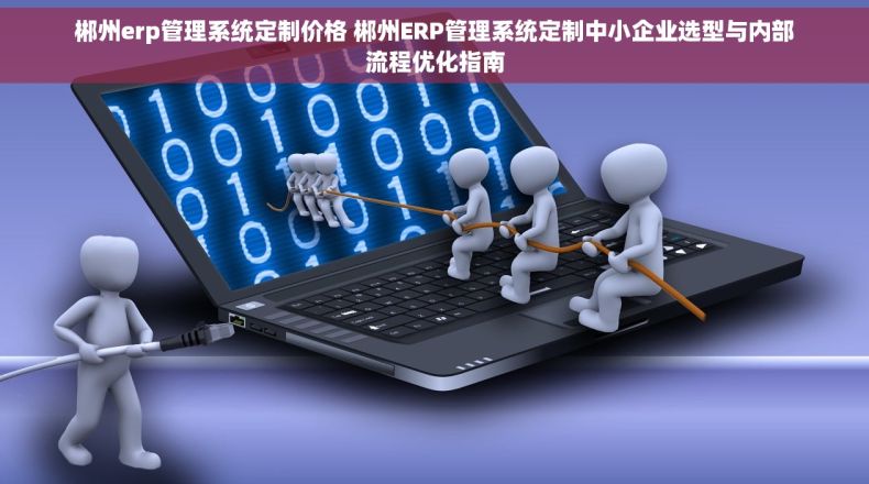 郴州erp管理系统定制价格 郴州ERP管理系统定制中小企业选型与内部流程优化指南