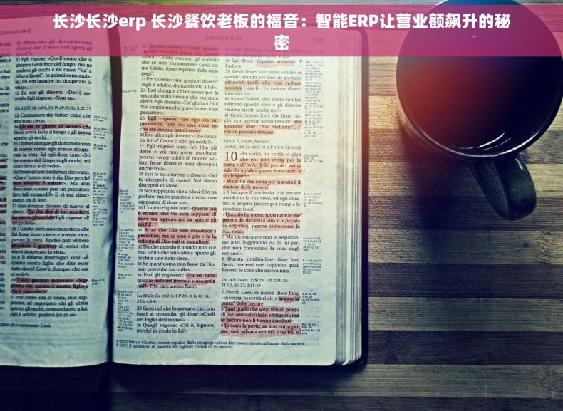 长沙长沙erp 长沙餐饮老板的福音：智能ERP让营业额飙升的秘密