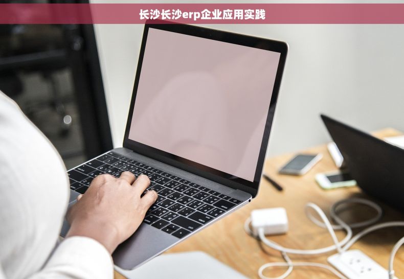 长沙长沙erp企业应用实践