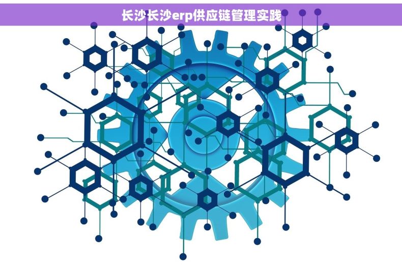 长沙长沙erp供应链管理实践